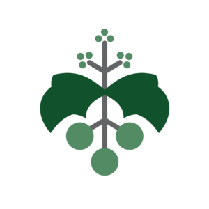 Native Hawaiian Community Development Corporation